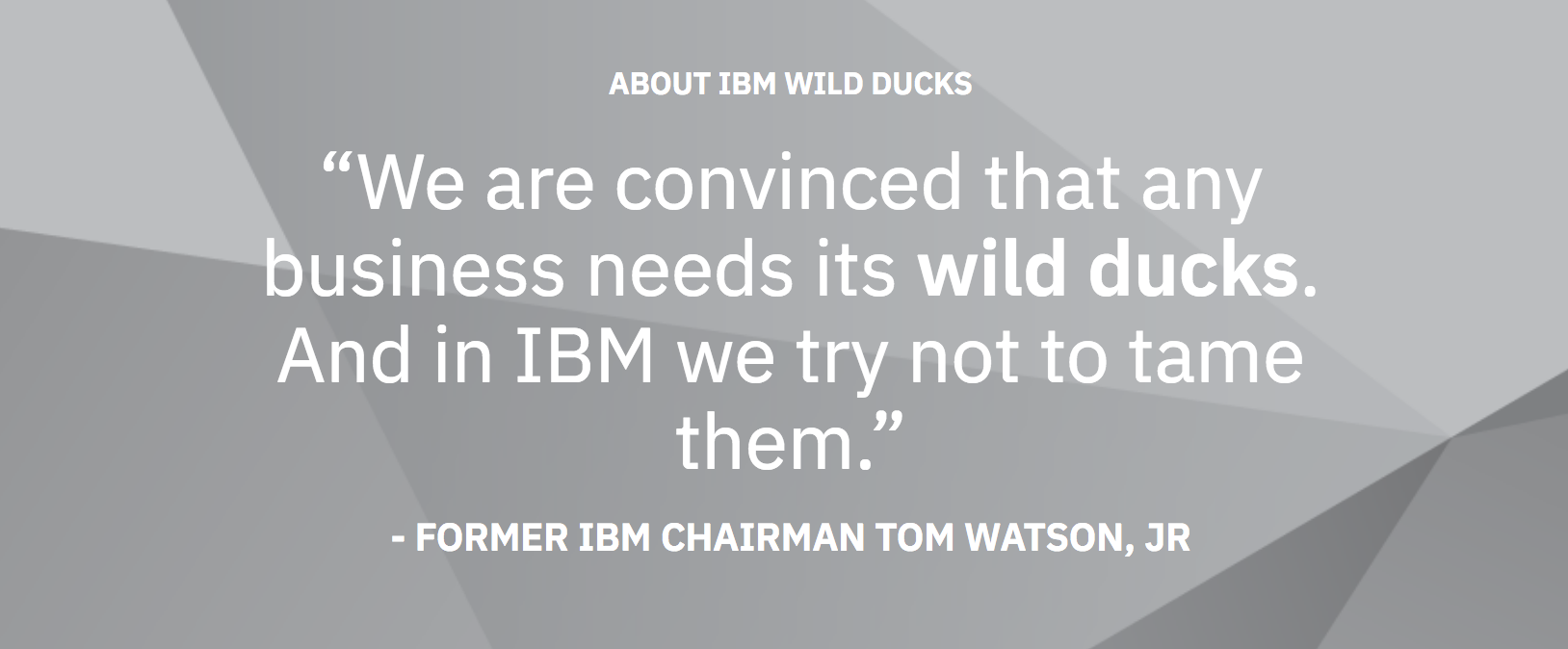 IBM_Wild_Ducks_-_About_IBM_Wild_Ducks_Podcasts