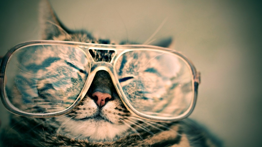 Lesezeichen: Gläsern ODER ein Tag in Deinem Leben, erzählt von Google | NZZ