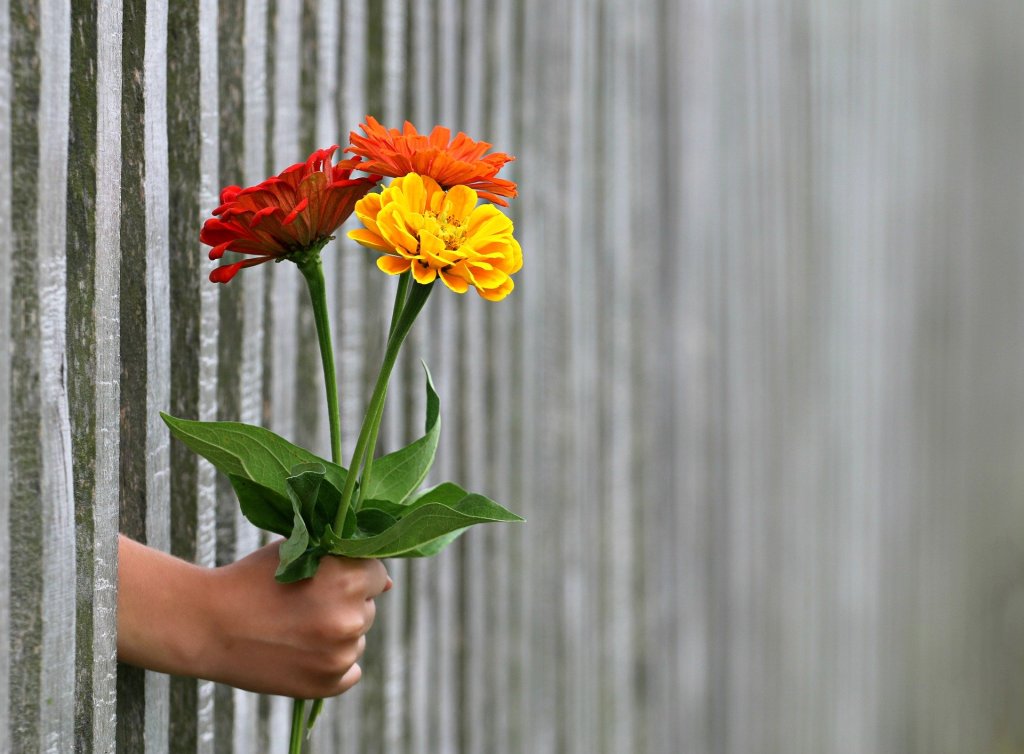 Homeoffice-Allerlei: Wie wäre es mit einem Blumenstrauß für die, die im Homeoffice mehr arbeiten? Und weitere Links und Zitate