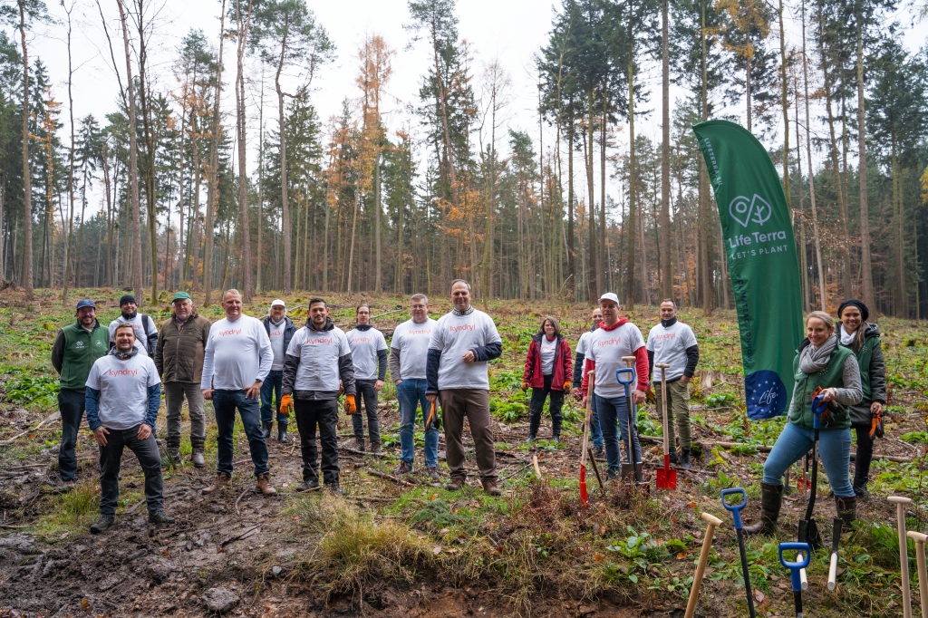 November-Tagebuch nach Urlaub: Bewegende Baumpflanzaktion im Erbacher Wald